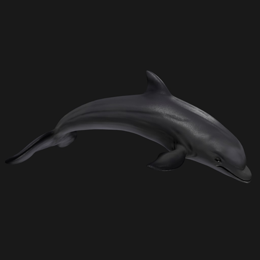 DOLPHIN preview image 1